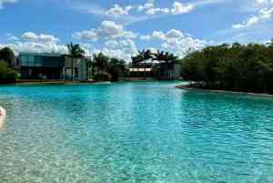 Serene blue water with palm trees.
